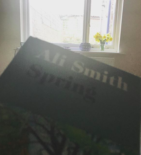 Spring cover in front of daffodils