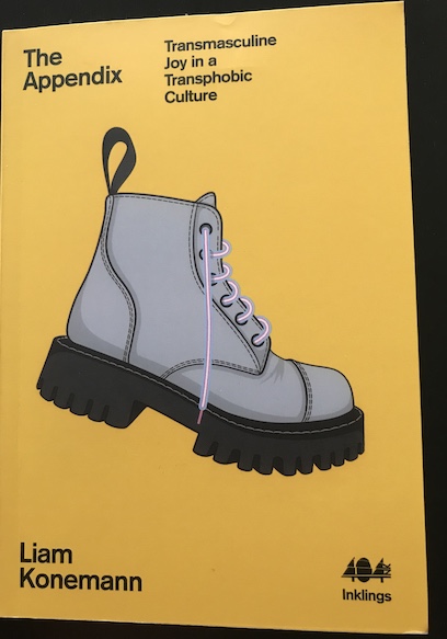 The Appendix cover: a yellow background with a silver Doc Martens boot with laces in the pink, blue and white colours of the trans flag