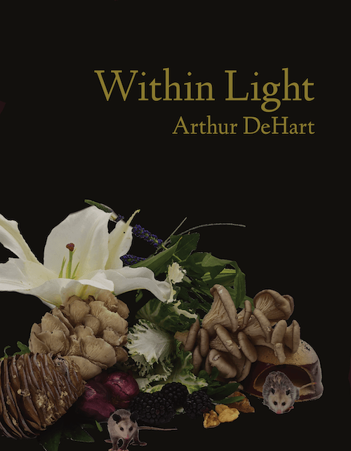 The cover of Within Light by Arthur DeHart: a black background with flowers on top.